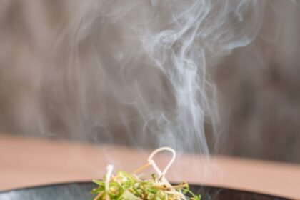 Asian Duck with Ginger