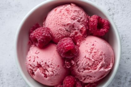 Mary Berry Raspberry sorbet